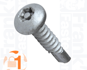 Collection image for: Pan Head 6-Lobe Pin Self Driller