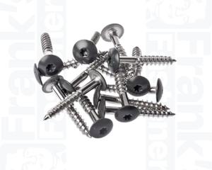 Collection image for: Facade Screws