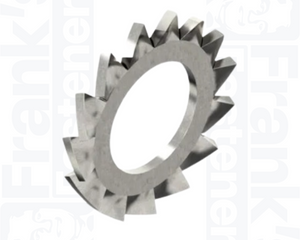 Collection image for: Lock Washers