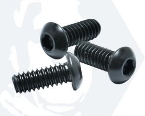 Collection image for: Black Stainless Steel Screws