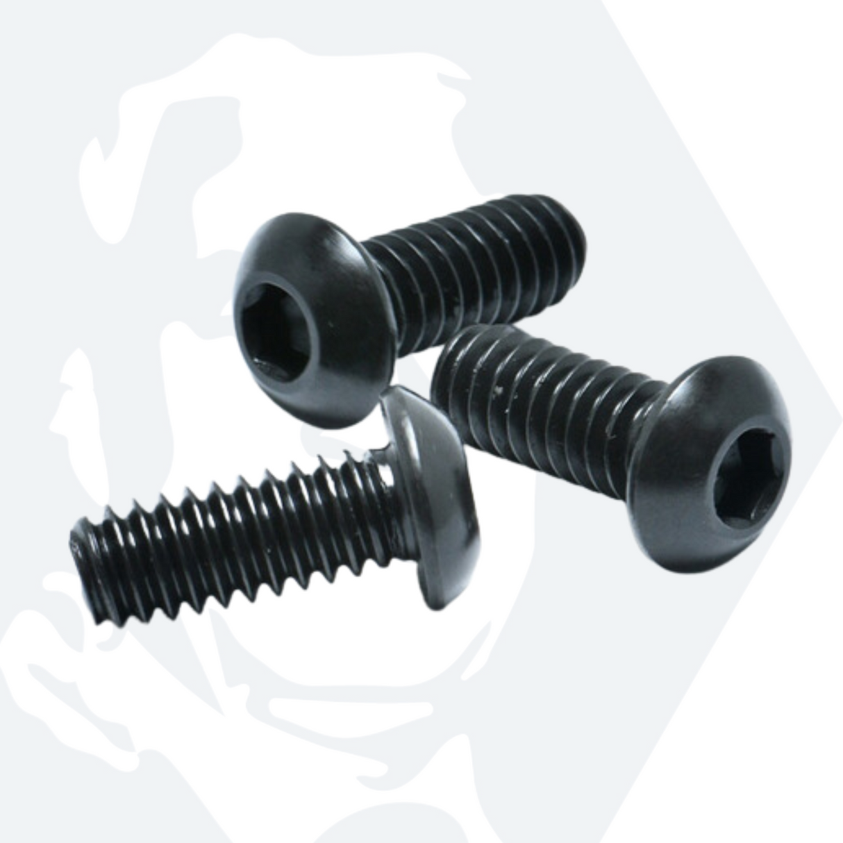 M6 x 10mm Socket Button Screws ISO 7380, Black Stainless Steel A2