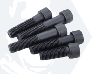 Collection image for: Black Stainless Socket Cap Screws