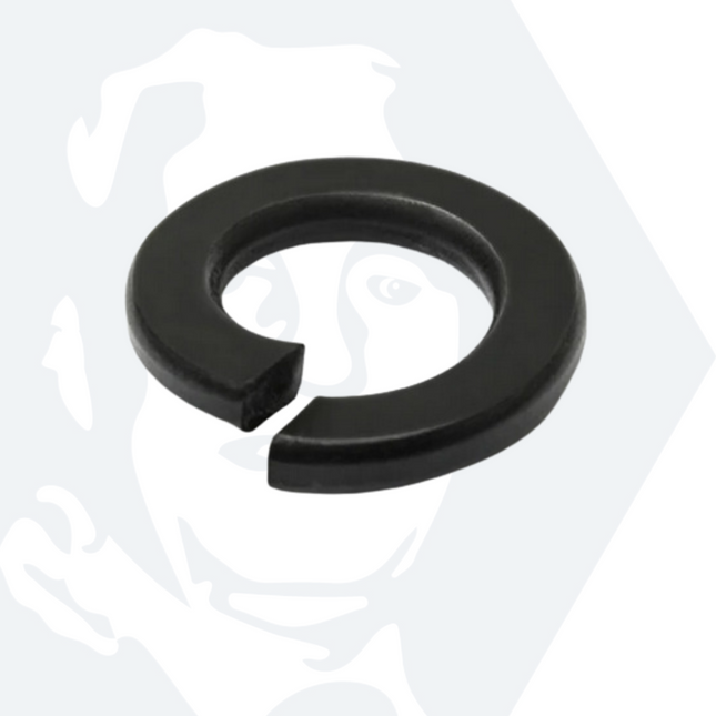 M10 Spring Washers Rectangular DIN 127B, Black Stainless Steel A2