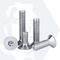 Countersunk Screws