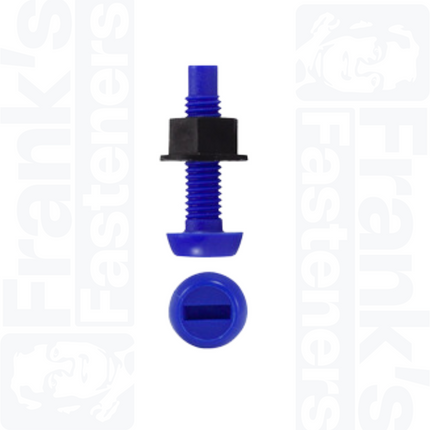Blue Number Plate Screw & Nut
