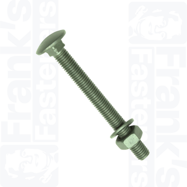 TIMBER-TITE® M10 x 100mm Coach Bolts - Net-Coat (Box of 10)
