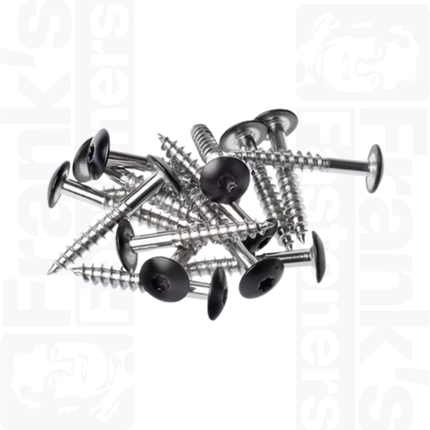4.8 x 25mm Facade Screw Black, Stainless Steel A4